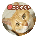 cat_eye125px