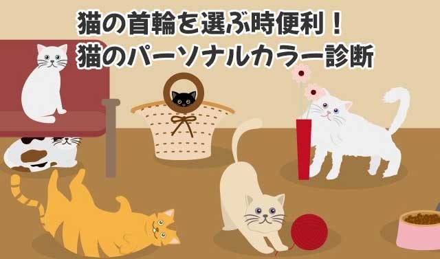 猫のパーソナルカラー診断