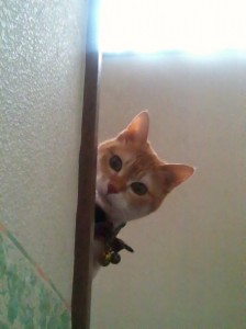 のぞき見みぃや のぞき見みぃや